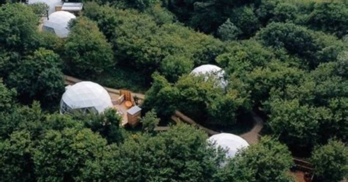 Discover Cottingham: Your Gateway to Tranquility