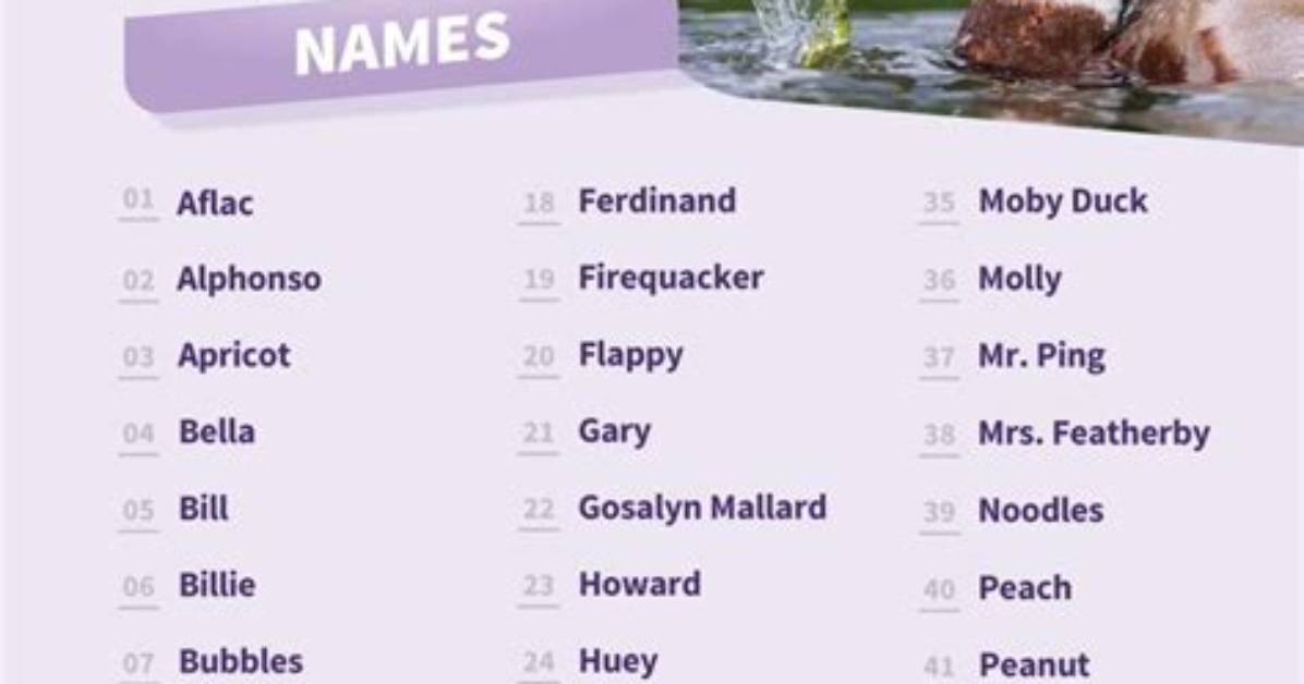 Discover Enchanting Duck Names for Your Feathered Friend