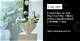 Discover the Allure of the Hm Ceramic Side Table