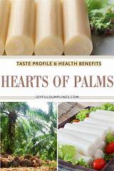 Discover the Best Hearts of Palm at Costco: a Comprehensive Guide