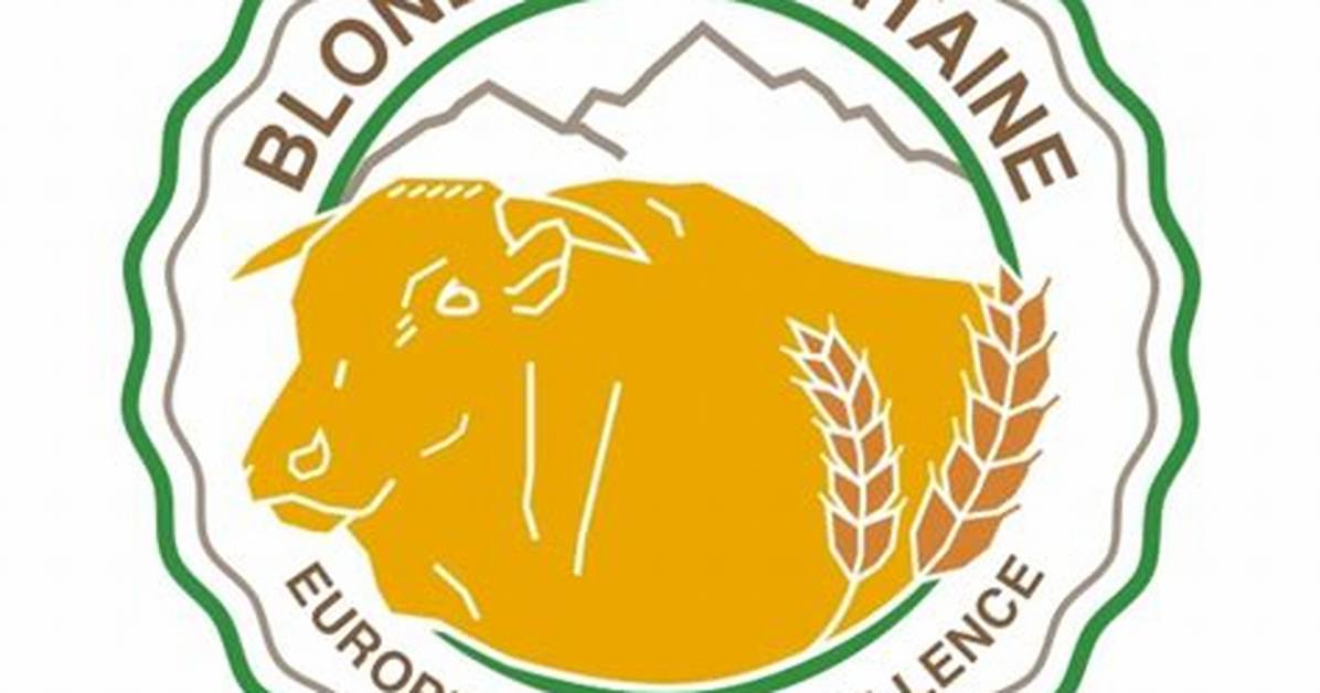 Discover the Excellence of Arcngel Beef a Culinary