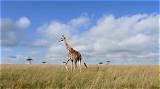 Discover the Intriguing Story of the Savannah Six: a Mystery Unraveled