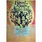 Discover the Magic of Edward Sharpe and the Magnetic Zeros' "Jade Drugs"