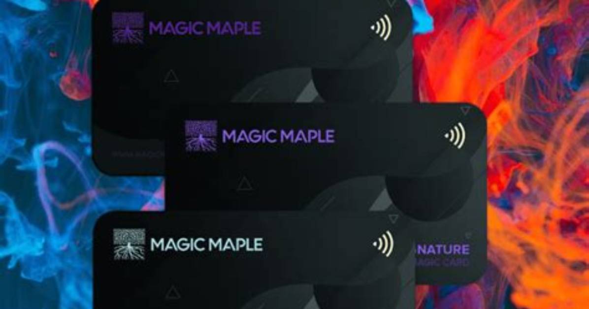 Discover the Magic of Maple Star: Your Guide to Nature's Sweet Secret