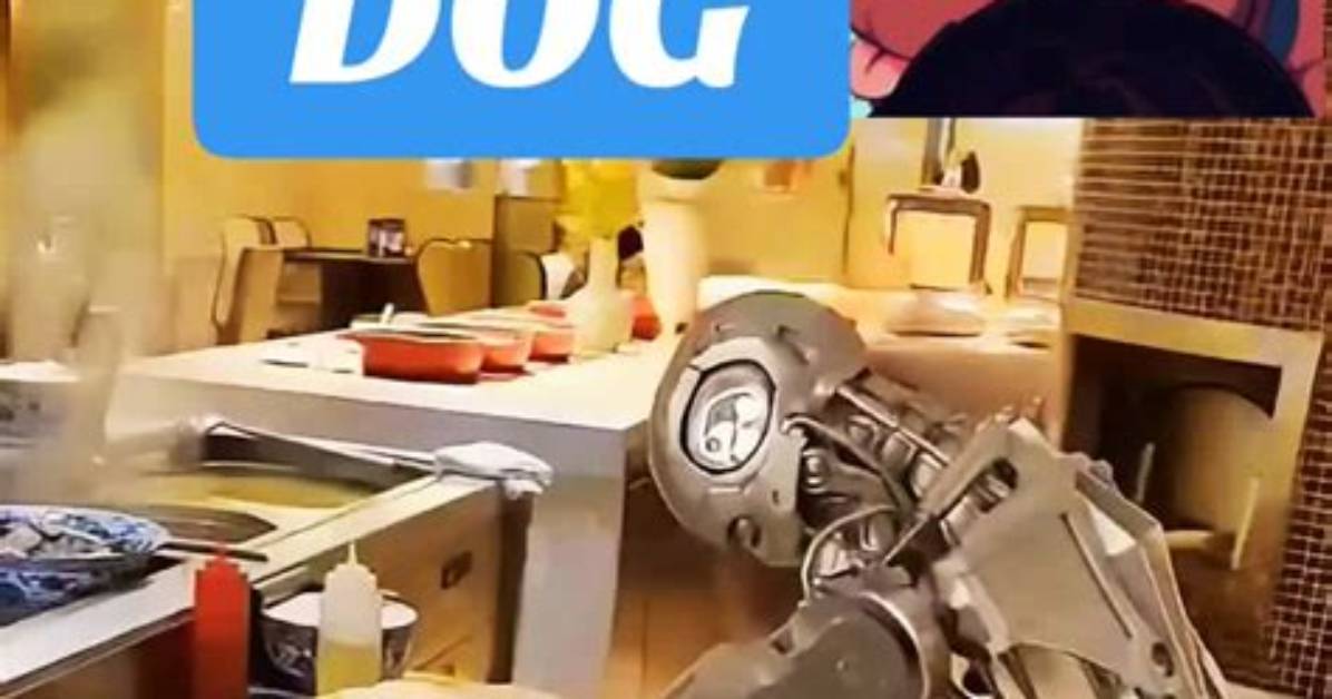 Discover the Magic of Skirby Dog Video: a Must-Watch Trend