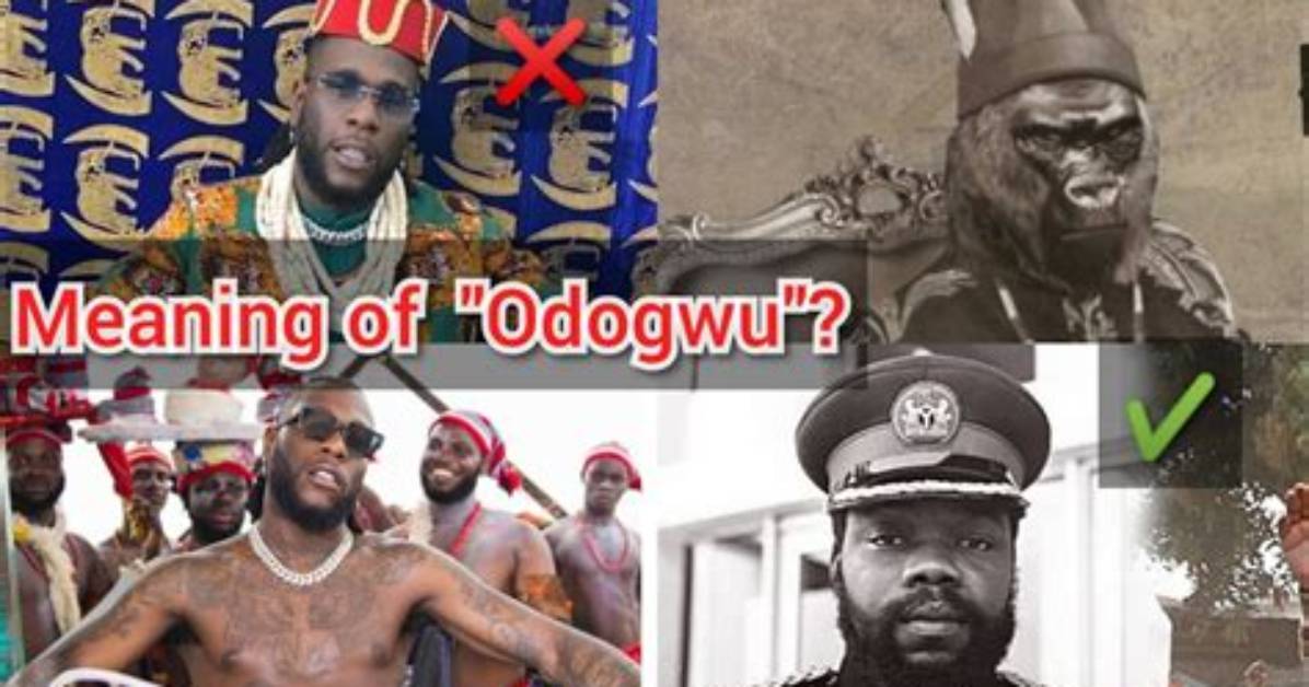 Discover the Meaning of Odogwu in English: a Comprehensive Guide
