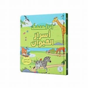 Discover the Secrets of the 1991 Animal Sign: Insights and Meanings
