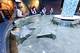Discover the Wonders of Nc Aquarium Pine Knoll Shores