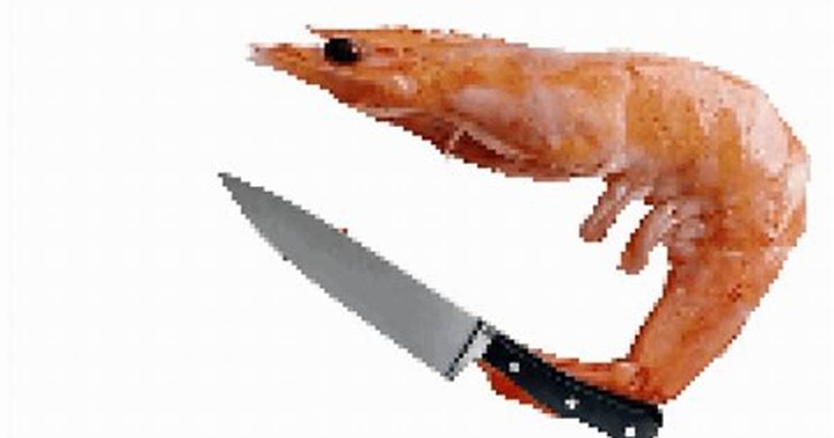 Discover the World of Animated Shrimp Gifs: a Trending Visual Phenomenon