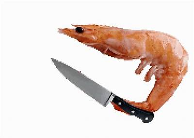 Discover the World of Animated Shrimp Gifs: a Trending Visual Phenomenon