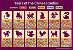 Discover What Chinese Animal Is 1991: a Complete Guide