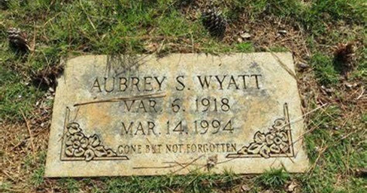 Discovering Aubrey Wyatt S Academic Journey Where Did Aubrey Wyatt Go To