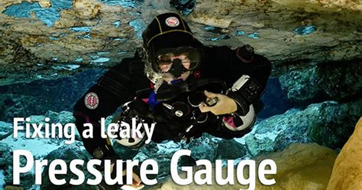 Discovering Scuba Steph of Leak: a Dive into Her World