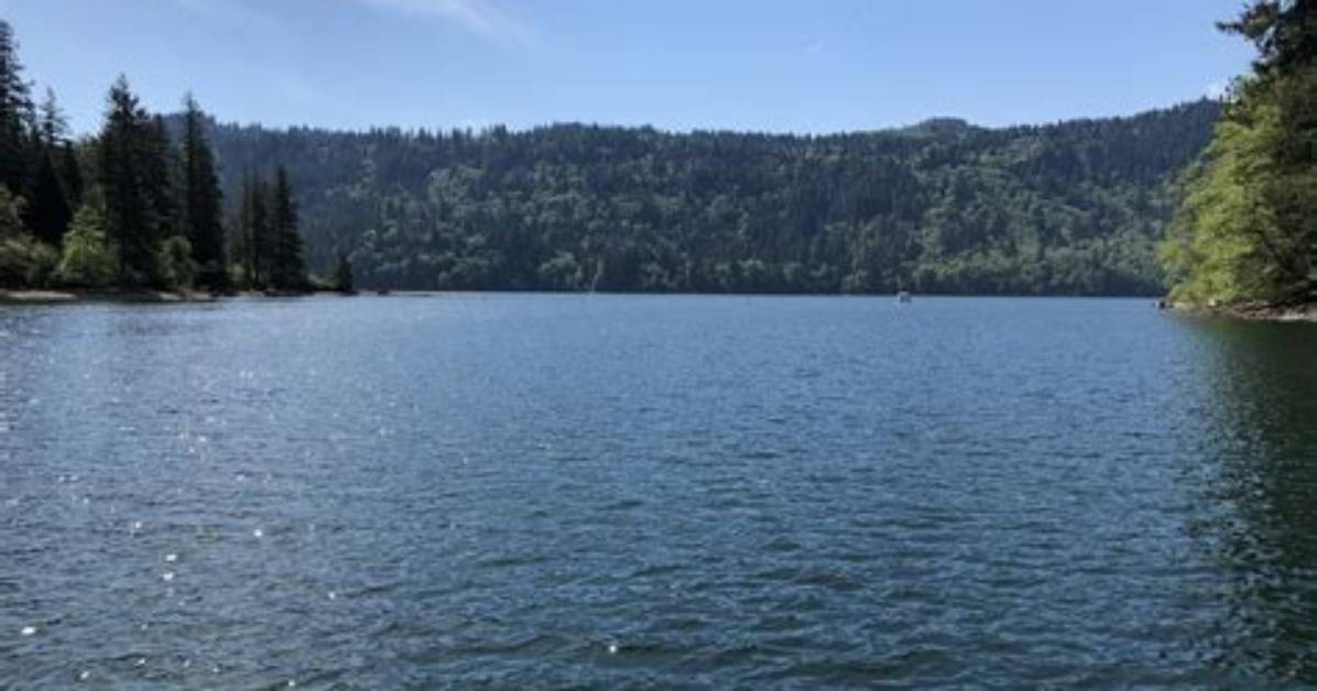 Discovering the Beauty of Lake Merwin, Washington