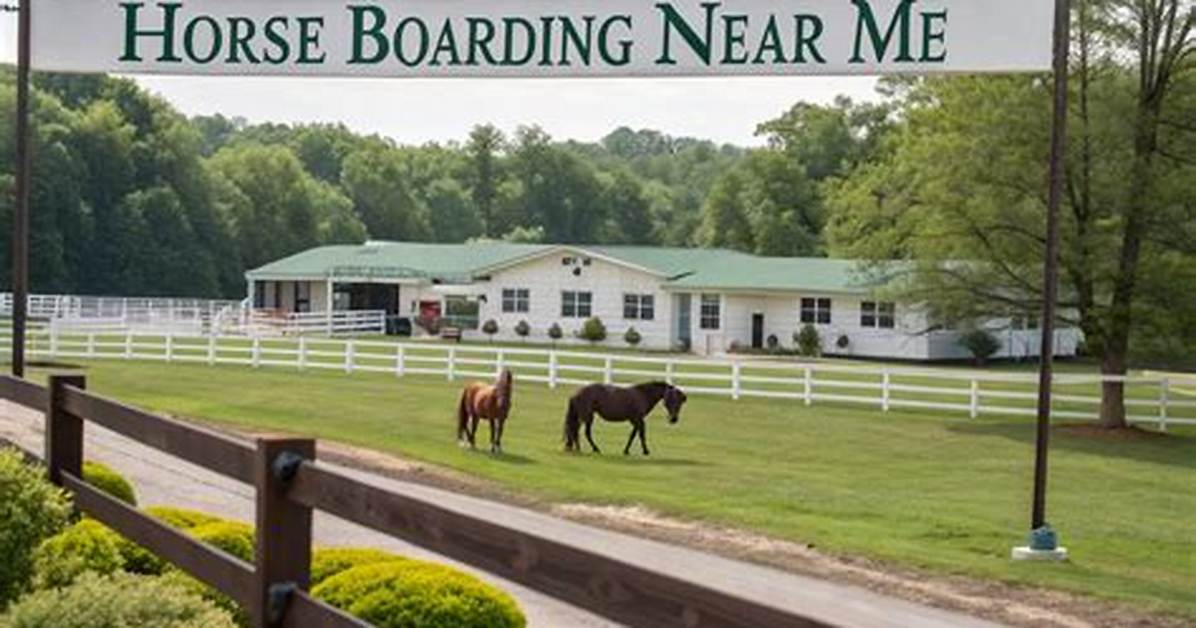 Discovering the Best Horse Boarding Near Me