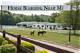 Discovering the Best Horse Boarding Near Me