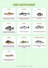 Discovering the Best Tasting Fish: a Comprehensive Guide