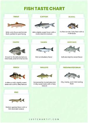 Discovering the Best Tasting Fish: a Comprehensive Guide