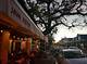 Discovering the Charm of Java Bistro: a Culinary Delight