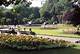 Discovering the Charm of Stephen's Green Publick House