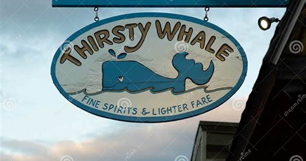 Discovering the Delightful World of Thirsty Whale Bakery
