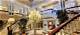 Discovering the Majesty of the Palace of India