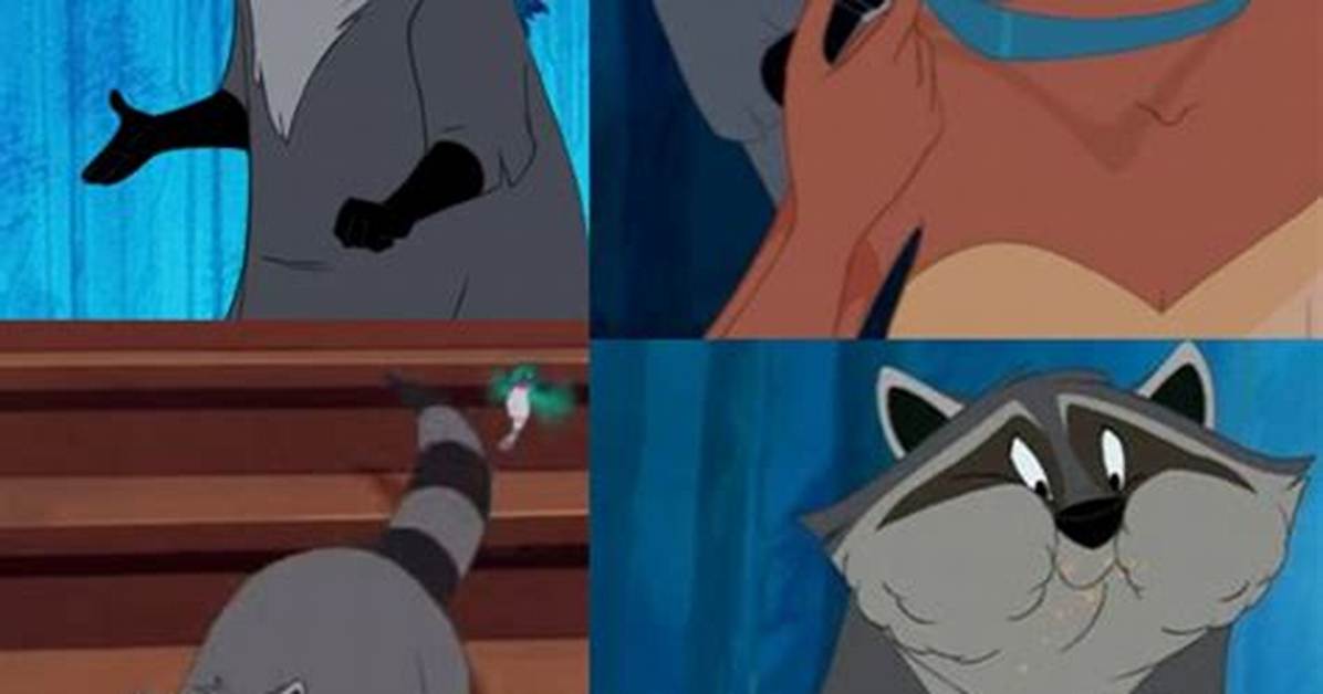 Discovering the Raccoon in Pocahontas: a Fascinating Look at Wildlife and Animation