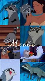 Discovering the Raccoon in Pocahontas: a Fascinating Look at Wildlife and Animation