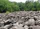 Discovering the Wonders of Ringing Rocks County Park