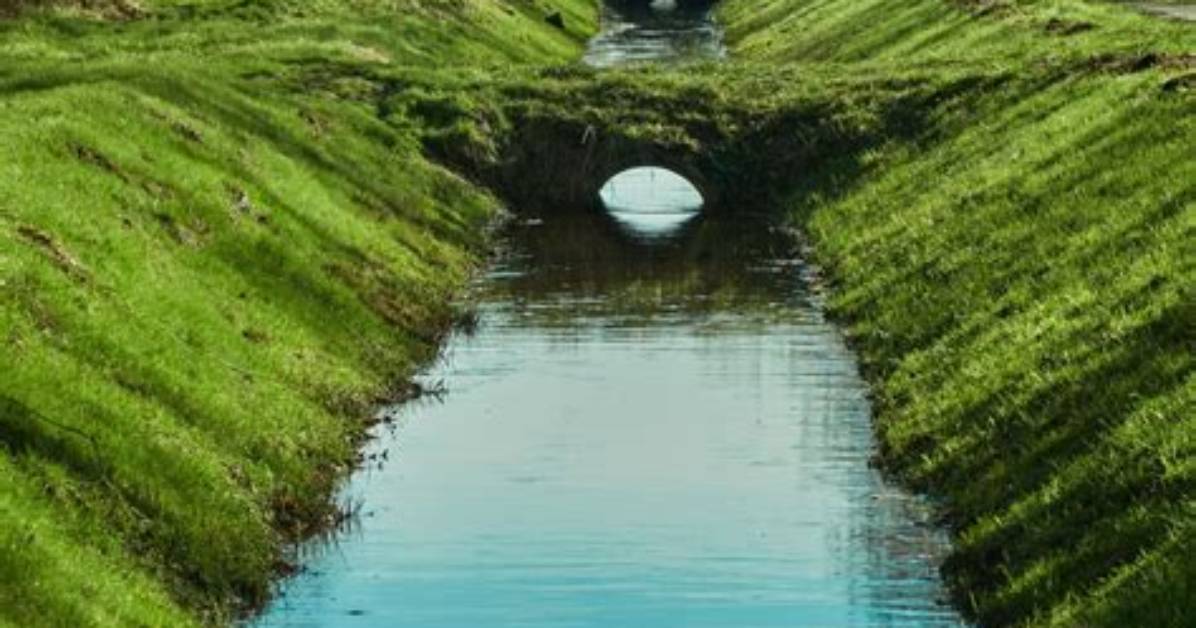 Ditch