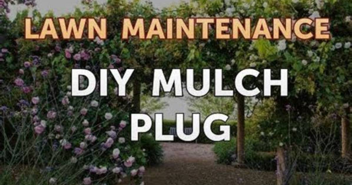 Diy Mulch Plug