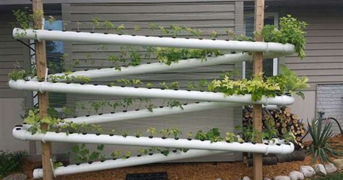 Diy Pvc Hydroponic