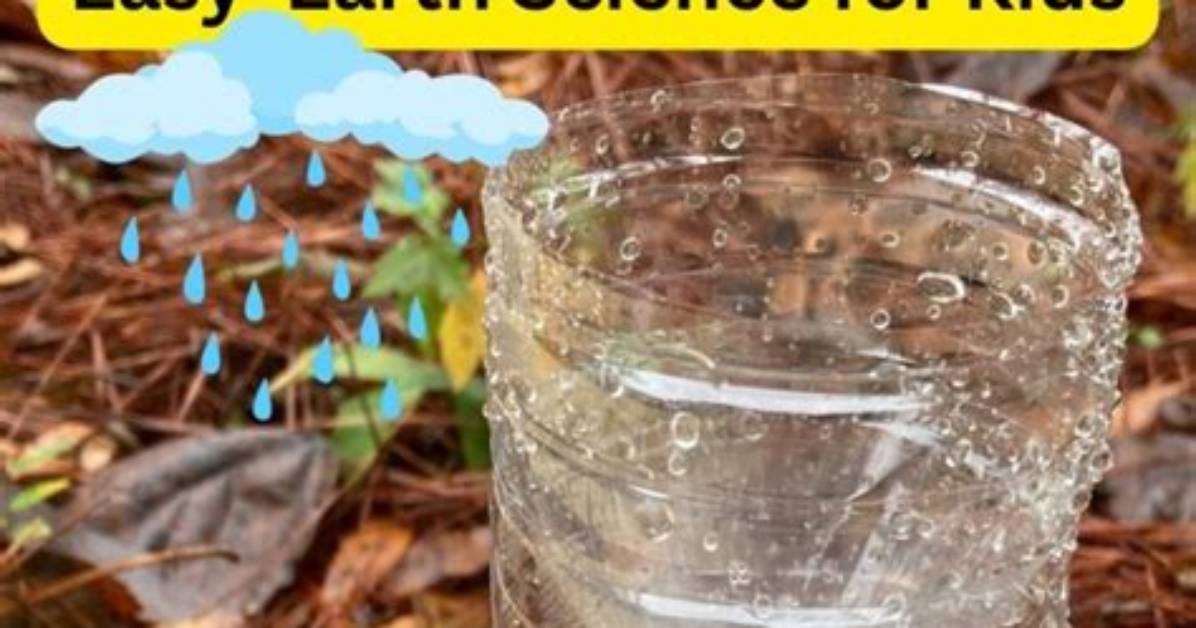 Diy Rain