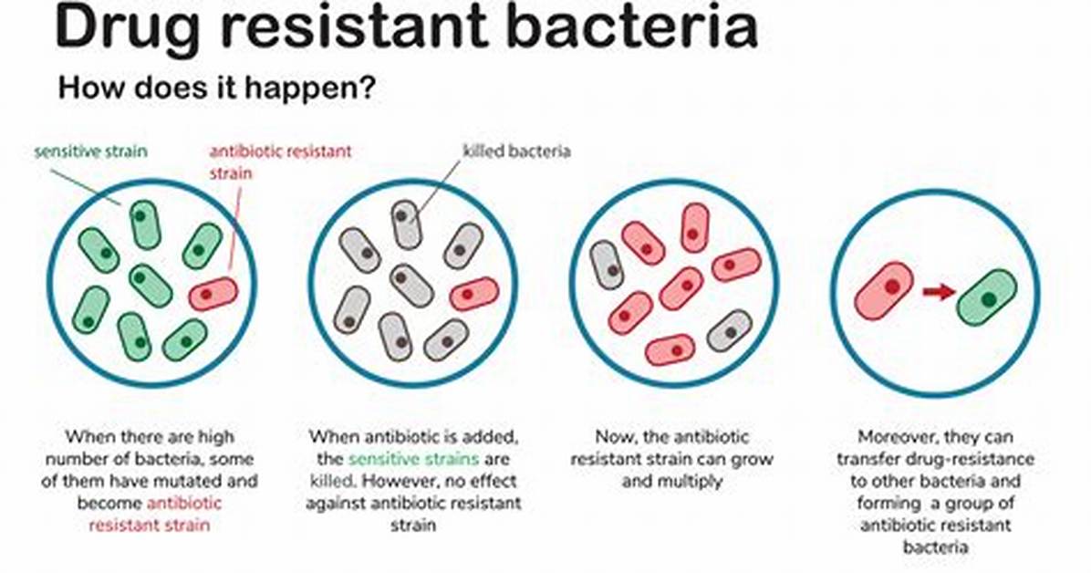 Do Antibiotics Affect Sleep?
