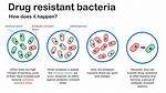 Do Antibiotics Affect Sleep?