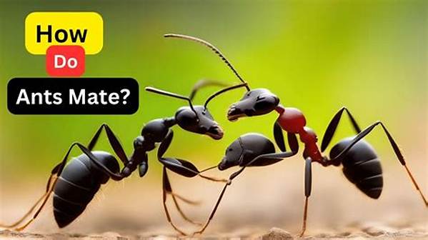 Do Ants Mate?