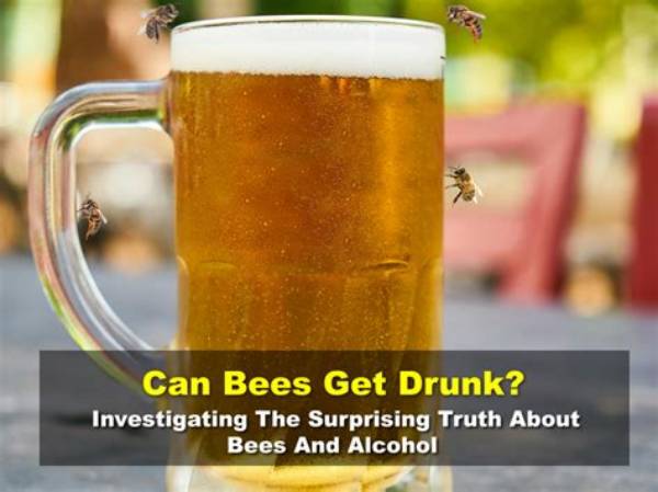 Do Bees Like Beer?