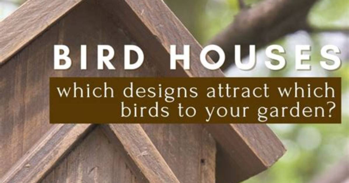 Do Birdhouses Attract