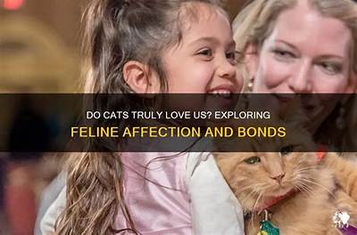 Do Cats Actually Love You?