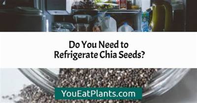 Do Chia Seeds Need to Be Refrigerated After Opening?