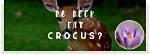 Do Deer Eat Crocus?