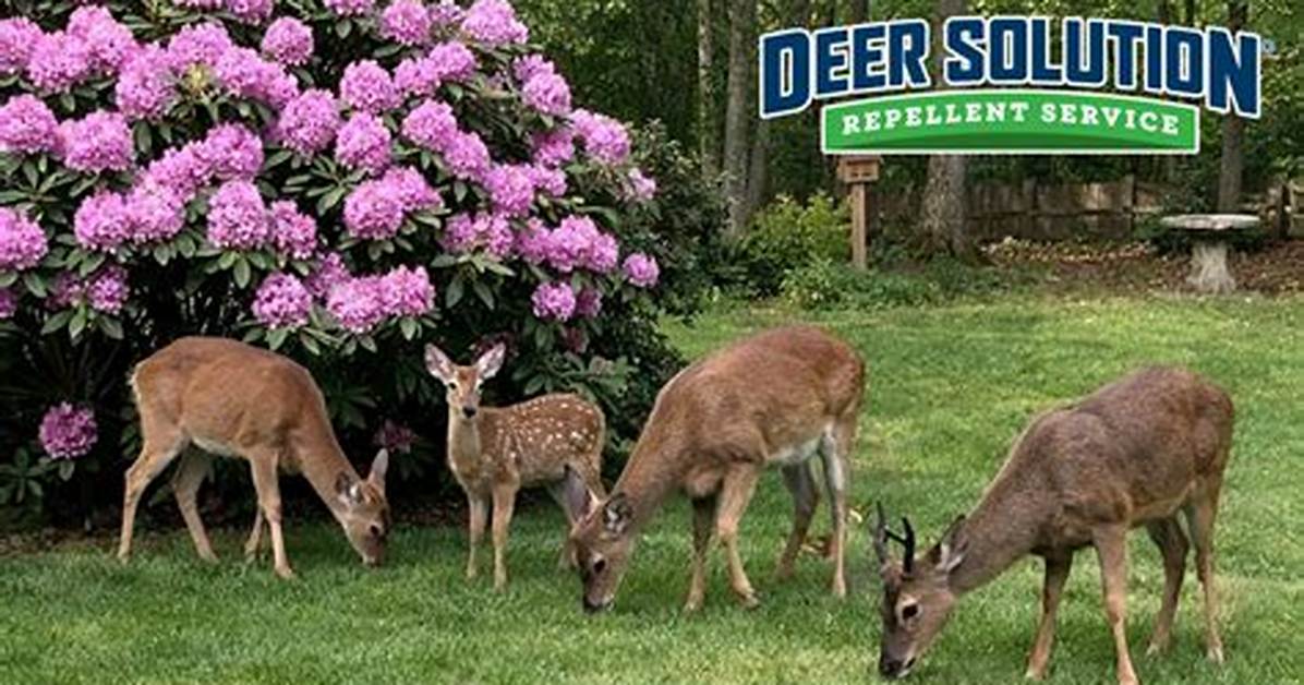 Do Deer Eat Rhododendrons?