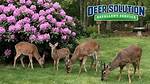 Do Deer Eat Rhododendrons?
