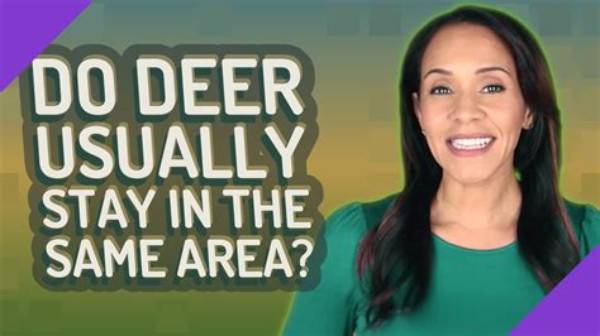 Do Deer Usually Stay in the Same Area?