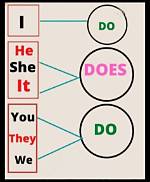 Do Does He She?