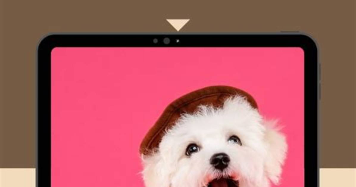 Do Dog Know Their Names?