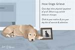 Do Dogs Grieve?