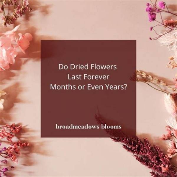 Do Dried Flowers Last Forever?