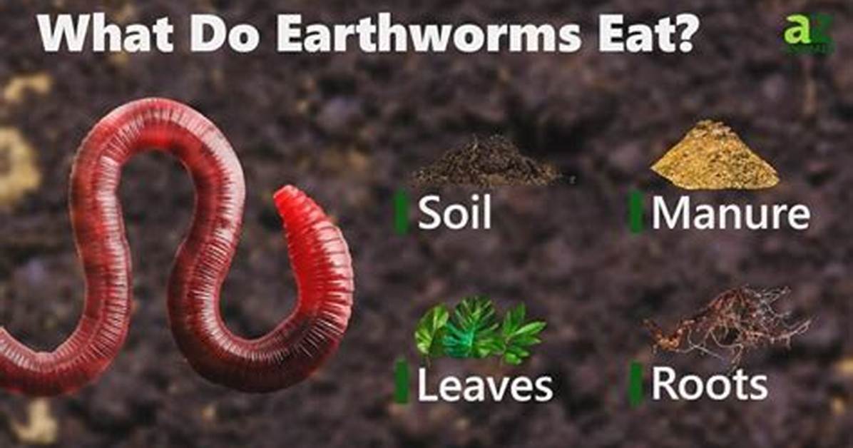 Do Earthworms Eat Cereal?