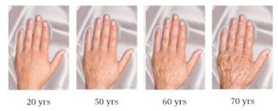 Do Fingers Thicken with Age?